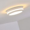plafonnier extérieur Wollongong LED Blanc, 1 lumière