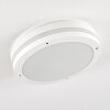 plafonnier extérieur Wollongong LED Blanc, 1 lumière