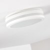 plafonnier extérieur Wollongong LED Blanc, 1 lumière