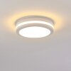 plafonnier extérieur Wollongong LED Blanc, 1 lumière