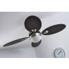 Ventilateur Globo WADE Acier inoxydable, Nickel mat, 1 lumière