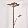 Lampadaire Lasona LED Brun, Argenté, 2 lumières