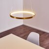 Suspension Canisteo LED Or, 1 lumière