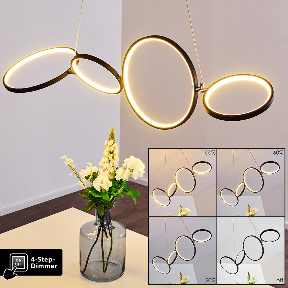 Suspension Rodekro LED Noir, 1 lumière main product photo
