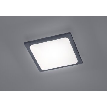 Plafonnier Trio TRAVE LED Anthracite, 1 lumière