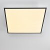 Plafonnier Salmi LED Gris, Blanc, 1 lumière