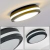 plafonnier extérieur Wollongong LED Anthracite, 1 lumière