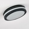 plafonnier extérieur Wollongong LED Anthracite, 1 lumière