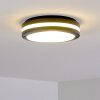 plafonnier extérieur Wollongong LED Anthracite, 1 lumière