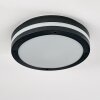 plafonnier extérieur Wollongong LED Anthracite, 1 lumière