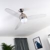 Ventilateur de plafond Varazze Nickel mat, Transparent, 1 lumière, Télécommandes