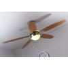 Ventilateur Globo AZURA Nickel mat, 1 lumière