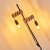 Lampadaire Barbengo Brun, Noir, 2 lumières