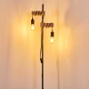 Lampadaire Barbengo Brun, Noir, 2 lumières