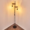 Lampadaire Barbengo Brun, Noir, 2 lumières