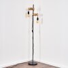 Lampadaire Barbengo Brun, Noir, 2 lumières