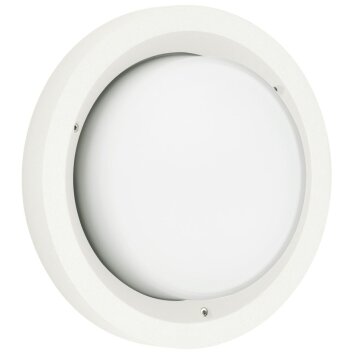 Plafonnier d'extérieur Albert 6410 LED Blanc, 1 lumière