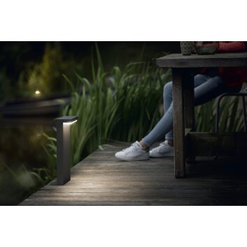 Borne lumineuse Philips Bustan LED Anthracite, 2 lumières