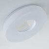 Plafonnier LED Loris Blanc, 1 lumière