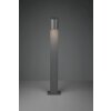 Borne lumineuse Trio Roya Anthracite, 1 lumière