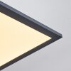 Plafonnier Salmi LED Noir, Blanc, 1 lumière