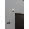 Applique murale d'extérieur Lutec Arc LED Blanc, 1 lumière, Détecteur de mouvement