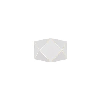 Applique murale Trio Leuchten ZANDOR LED Blanc, 1 lumière