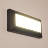 Applique murale d'extérieur Alkmaar LED Anthracite, 1 lumière