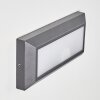 Applique murale d'extérieur Alkmaar LED Anthracite, 1 lumière