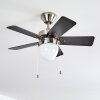 Ventilateur de plafond Ellmau Chrome, Gris, Blanc, 1 lumière