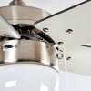 Ventilateur de plafond Ellmau Chrome, Gris, Blanc, 1 lumière
