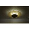 Plafonnier Paul Neuhaus NEVIS LED Rouille, 1 lumière
