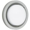 Plafonnier d'extérieur Albert 6410 LED Argenté, 1 lumière