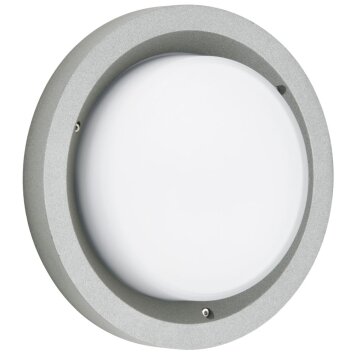 Plafonnier d'extérieur Albert 6410 LED Argenté, 1 lumière