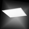 Plafonnier Paul Neuhaus Q-Flag LED Blanc, 1 lumière, Télécommandes
