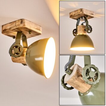 Plafonnier Orny Vert, 1 lumière