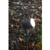 Spot de jardin Lutec Explorer LED Anthracite, 1 lumière