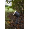 Spot de jardin Lutec Explorer LED Anthracite, 1 lumière