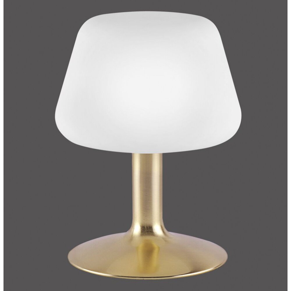 Lampe à poser Paul Neuhaus TILL LED Laiton, 1 lumière main product photo