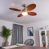 Ventilateur de plafond Nicosia Bois foncé, Nickel mat, 1 lumière
