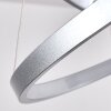 Suspension Canisteo LED Argenté, 2 lumières