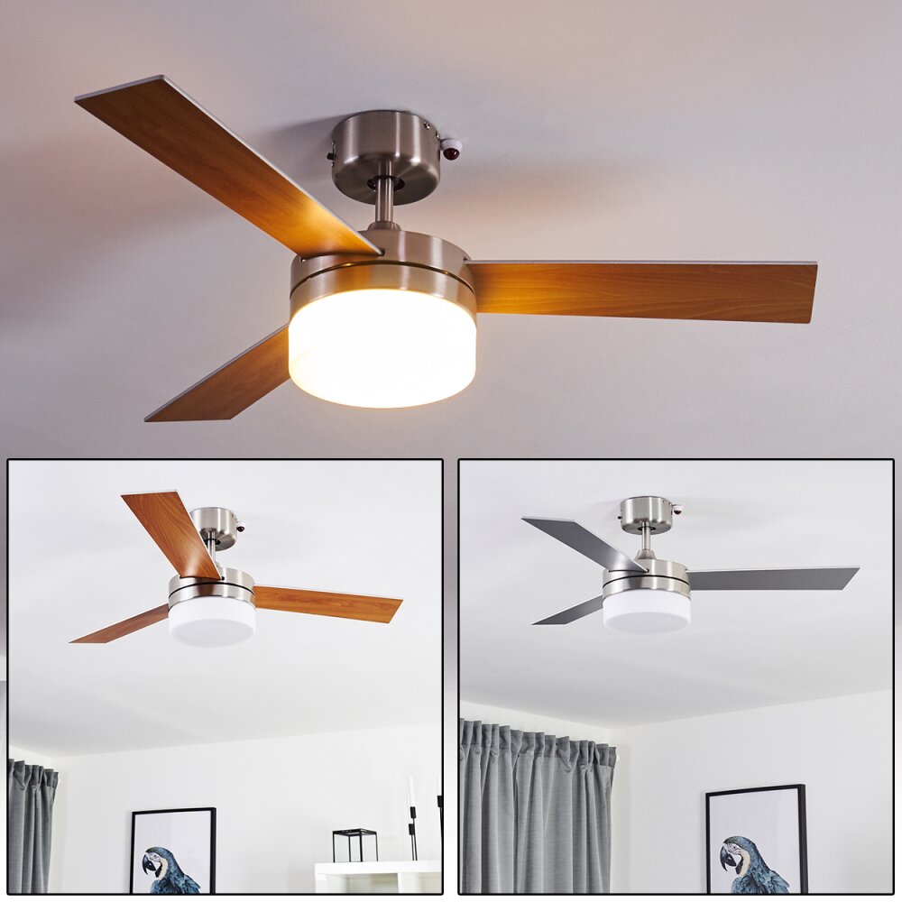 Ventilateur de plafond Vevey Bois clair, Nickel mat, Argenté, 2 lumières, Télécommandes main product photo