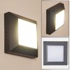 Applique murale d'extérieur Alkmaar LED Anthracite, 1 lumière