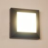 Applique murale d'extérieur Alkmaar LED Anthracite, 1 lumière