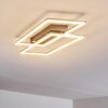 Plafonnier Veyrier LED Acier brossé, 2 lumières