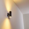 Applique murale d'extérieur Froslev LED Noir, 2 lumières