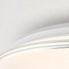Plafonnier Brilliant Edna LED Chrome, 1 lumière, Télécommandes, Changeur de couleurs