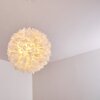 Suspension Murten Blanc, 1 lumière