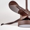 Ventilateur de plafond Doha LED Brun, 1 lumière, Télécommandes