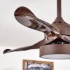 Ventilateur de plafond Doha LED Brun, 1 lumière, Télécommandes